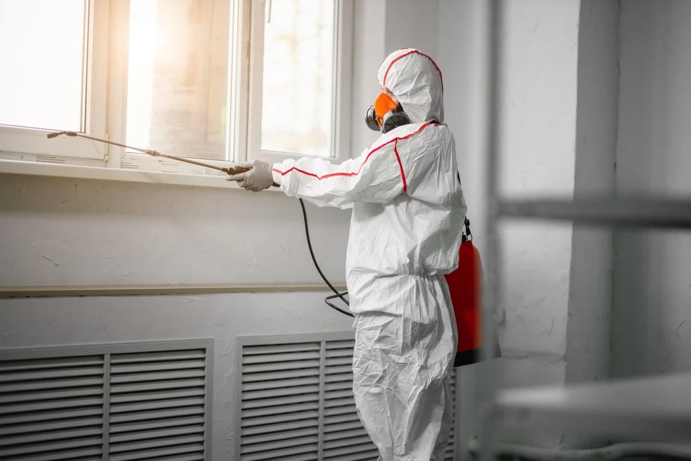 Professional mold remediation services in Waccabuc, NY